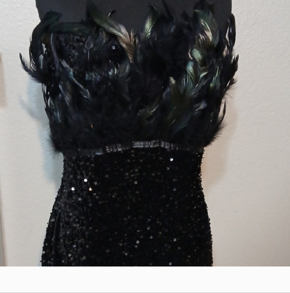 Strapless Black Feather & Sequin Evening Dress